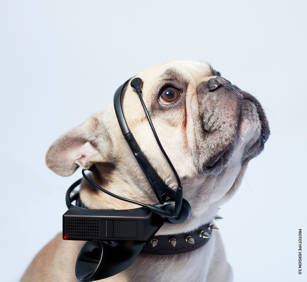 No More Woof NMW Headset by NSID Translates Dog Thoughts into Human Speech