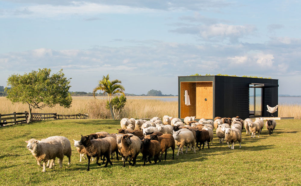 MINI MOD Cabin in Field with Herd of Sheep