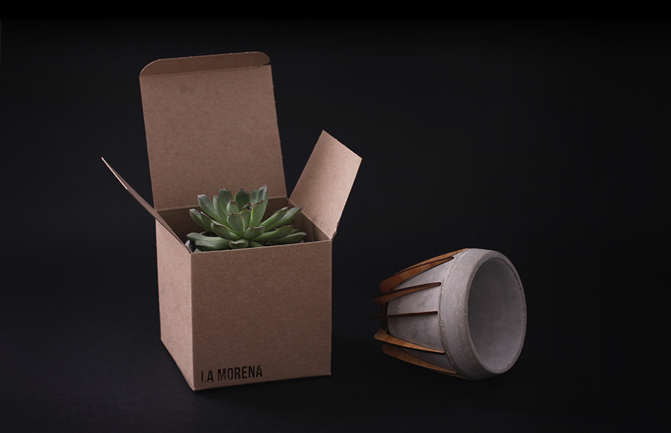La Morena Plant Pot by Shift Packaging