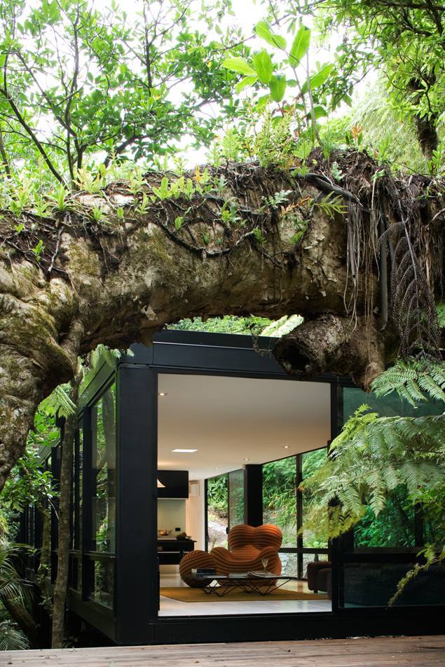 Black Forest House in the Hills of Titirangi, New Zealand by Chris Tate