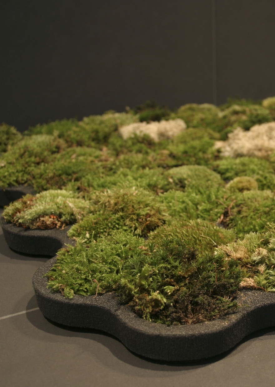 Living Moss Bath Mat by Nguyen La Chanh Homeli