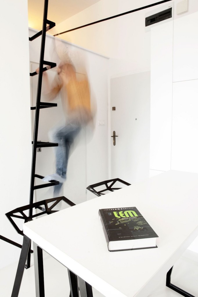 Minimalist Black Ladder to Access Mezzanine Sleeping Space in Peter's Flat