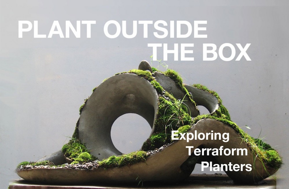 Uroborus Terra Form Planter by Robert Cannon on Bellissimo Shop