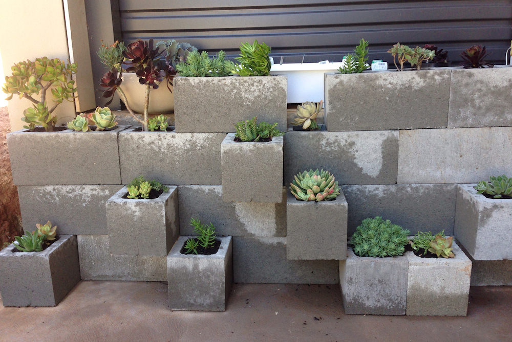 Tiered Modular Succulent Planter from Concrete Cinder Blocks