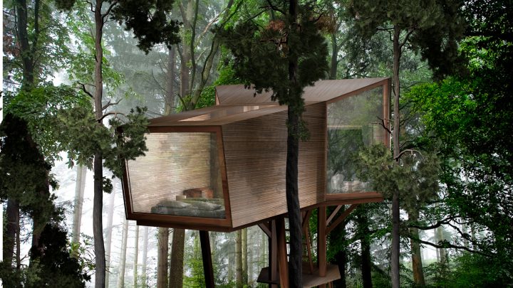 Inhabit Treehouse Concept Rendering by Antony Gibbon Design