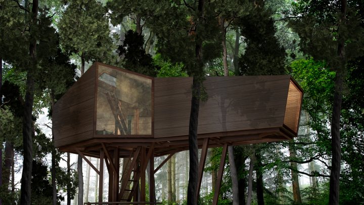 Inhabit Treehouse Visualisation in Forest Canopy