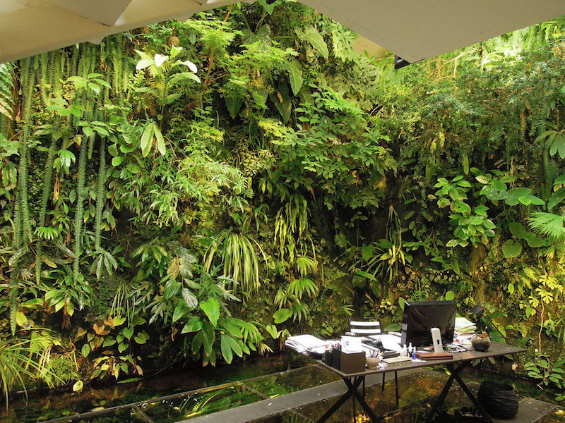 Patric Blanc's Home Office with Vertical Garden and aquarium floor. Living the dream.