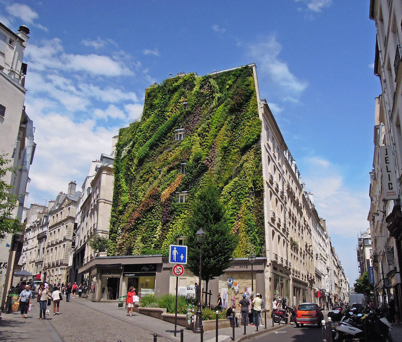 The Oasis of Aboukir Vertical Garden Installation in Paris by Patric Blanc