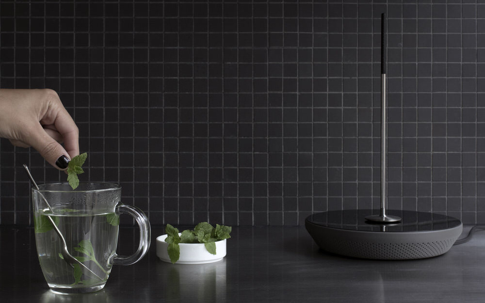Mint Tea with the Miito Water Heater (James Dyson Foundation National Winner)