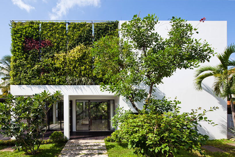 Living Wall Planted Exterior Section of Thao Dien House in Vietnam