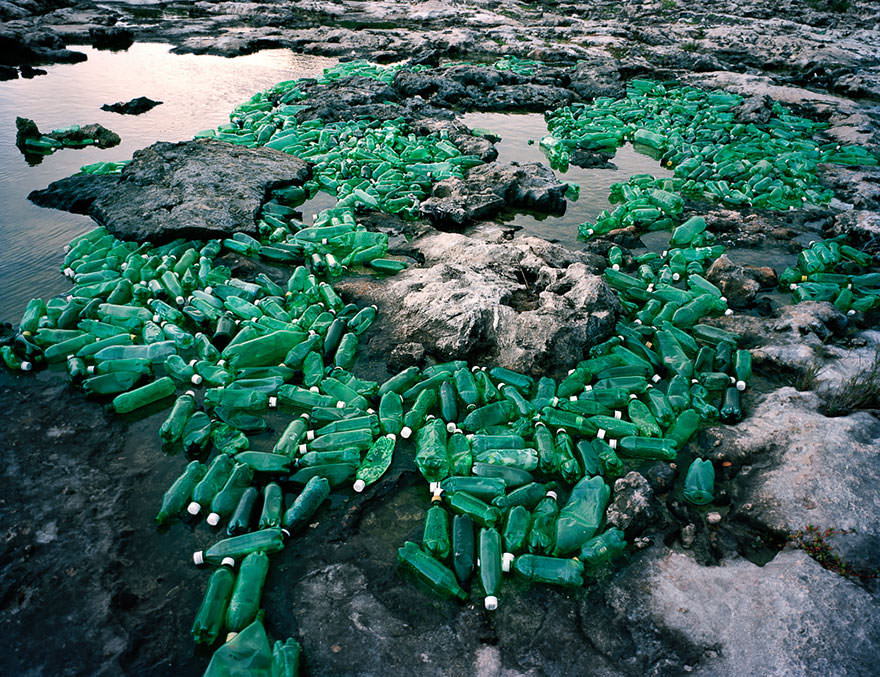 Green Bottles in Rock Pools to Resemble Plant Life