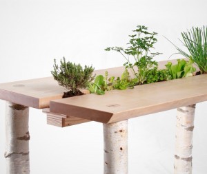 Forage Dining Table by Forge Creative