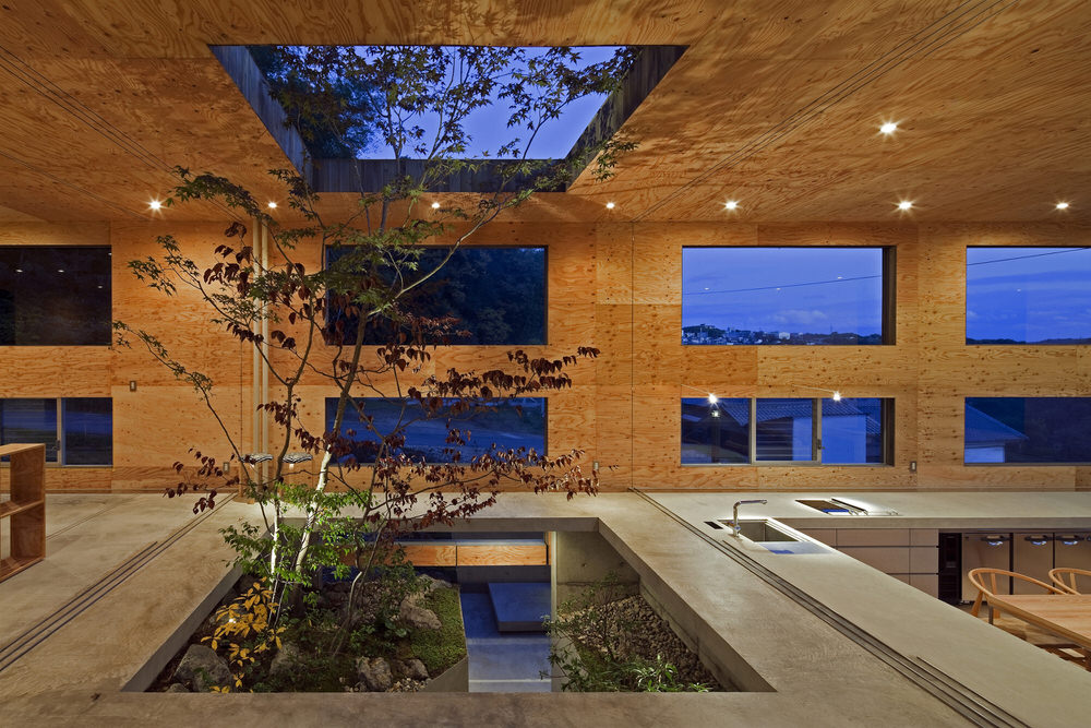 Japanese Maple Trees Growing Through Nest House by UID