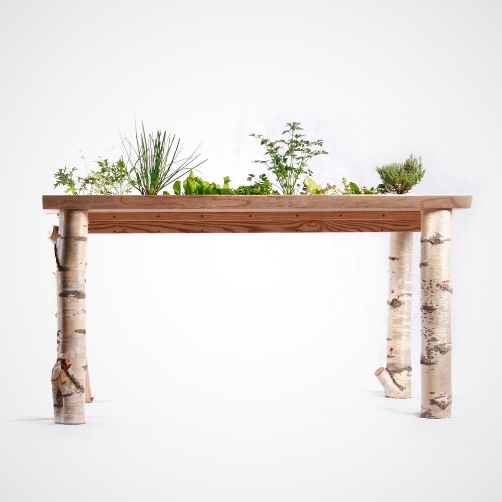 Side View of the Forage Dining Table by Forge Creative