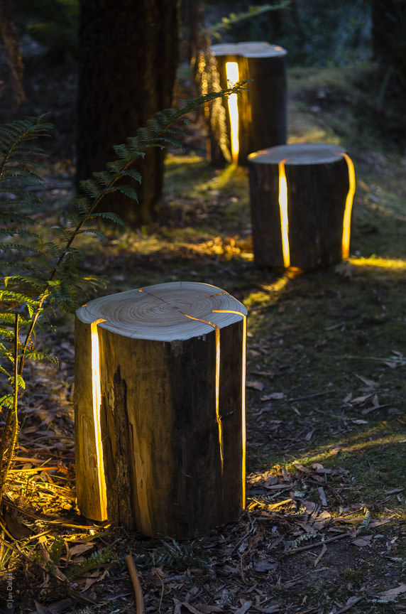 Cracked Log Lamps by Duncan Meerding Lighting a Path