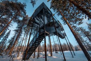 The 7th Room: Elevated Treehotel Cabin by Snøhetta