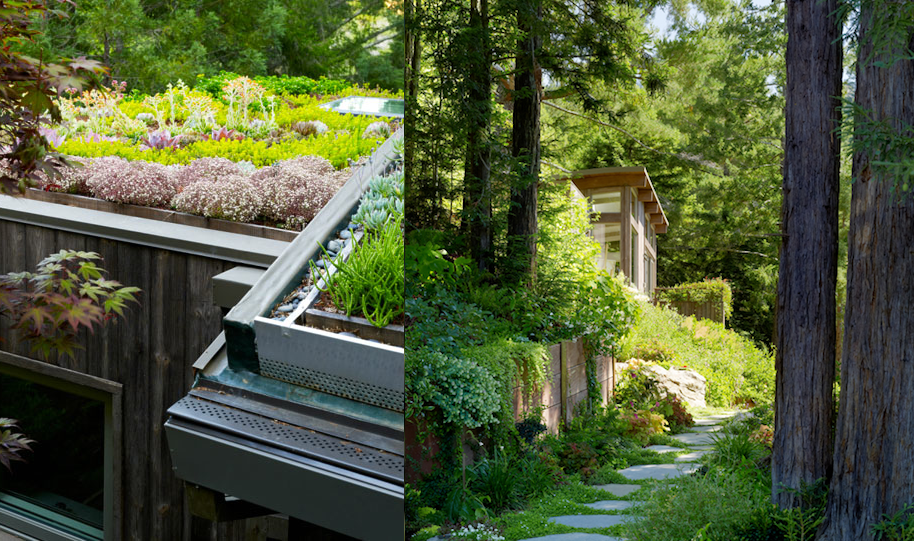 Green Roof System of Mill Valley Cabins