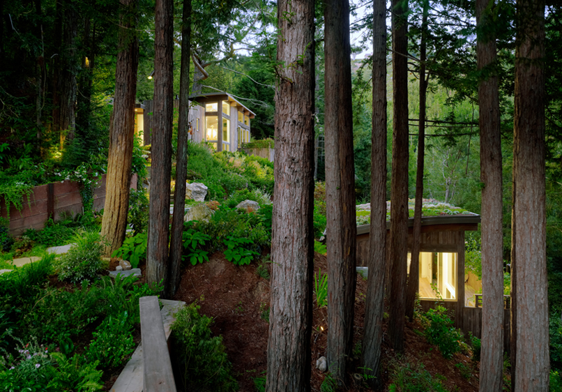 Mill Valley Cabins in forest