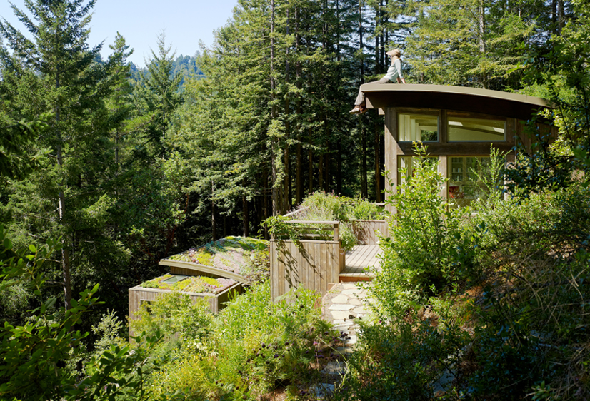 View of both Mill Valley Cabins and Living Roof