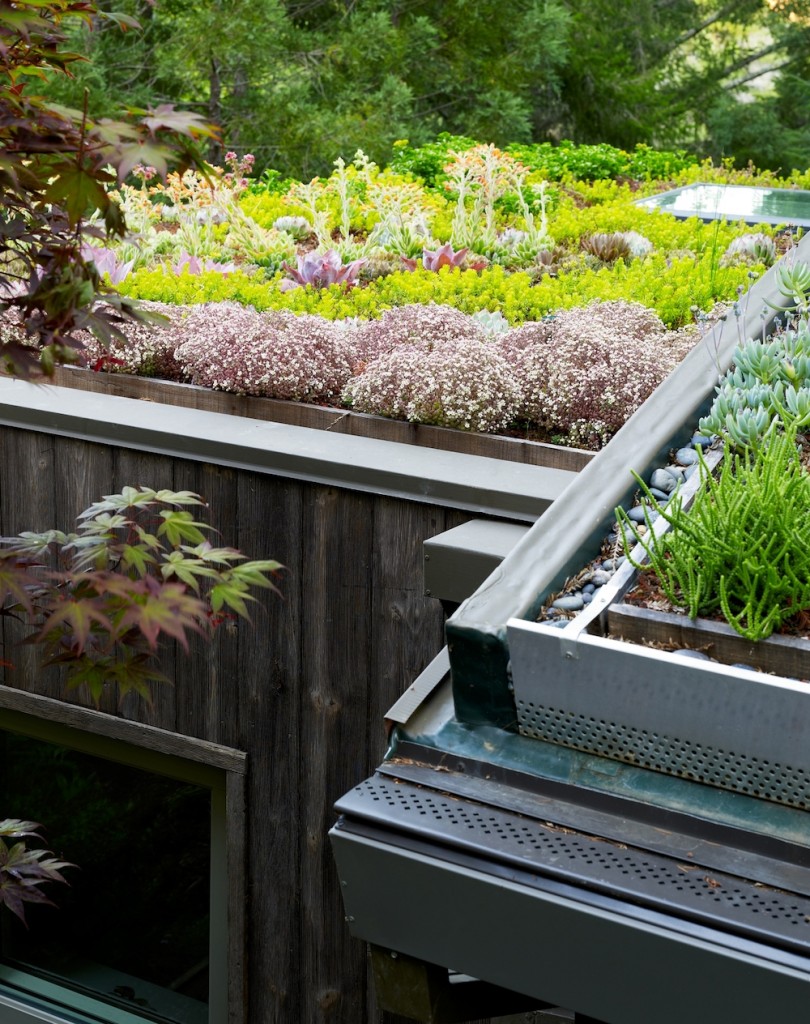 Sedum Roof Drainage System from Mill Valley Cabins