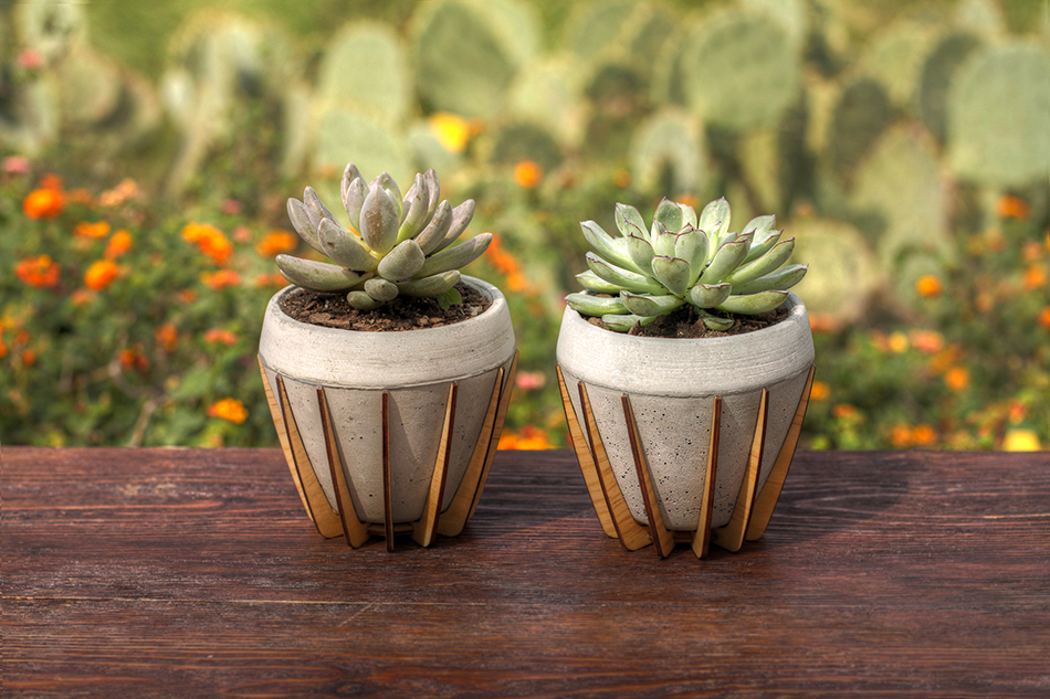 Two La Morena Minimalsit Plant Pots in Concrete and Wood by Shift from Mexico