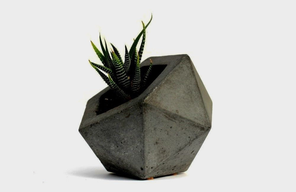 Geodesic Dome Concrete Plant Pots by Rough Fusion on Etsy