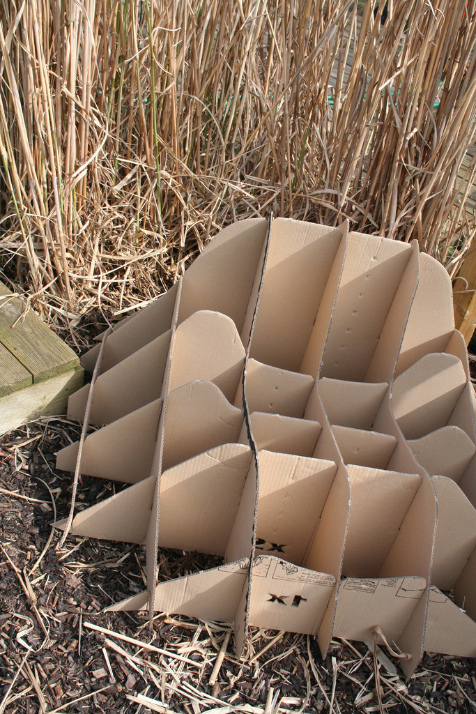 Terra Chair Cardboard Framework by Amanda Goode on Flickr