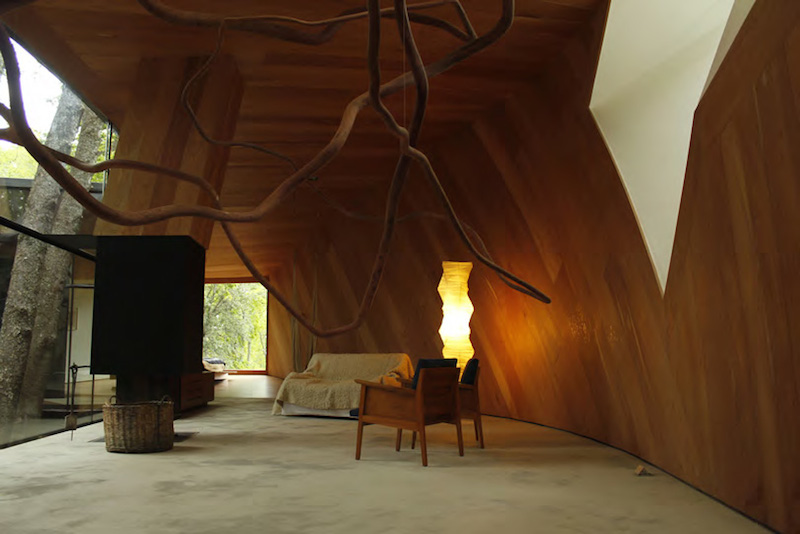 Interior Space with Bent Wood Sculptue