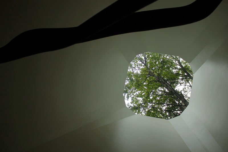 View of Forest Canopy through Truncated Cone Window