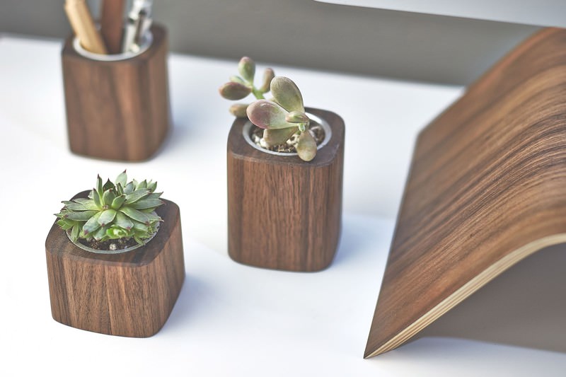 Succulent Planters in Walnut from Grovemade