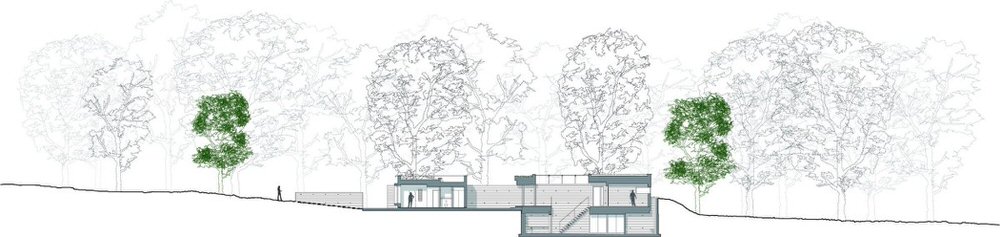 Side elevation of New Forest House by PAD Studio