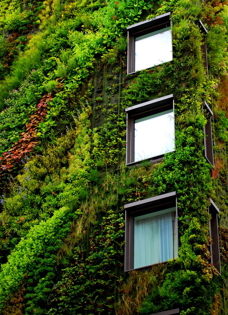 Close-up of Athenaeum Corner Living Green Wall by Patric Blanc
