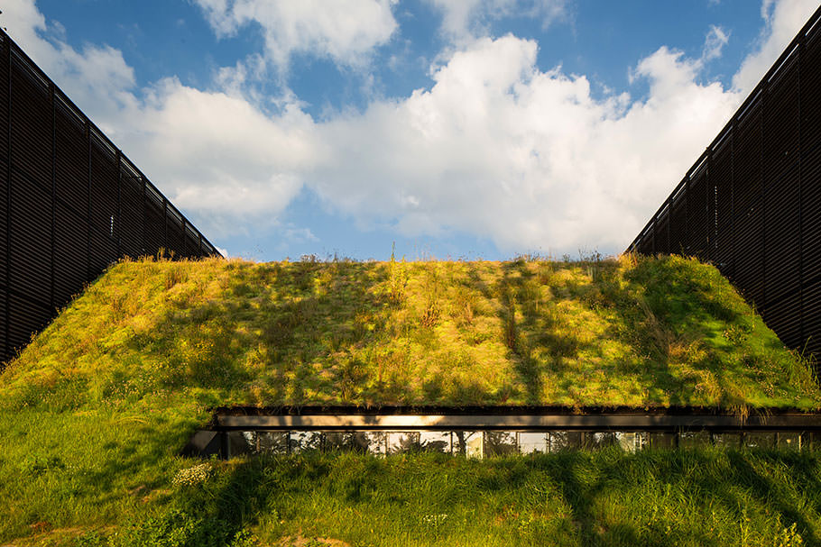 Living Green Roof with Slit Window
