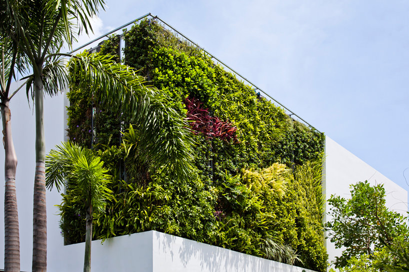 Living Wall Segment of Thao Dien House's Exterior Close-up