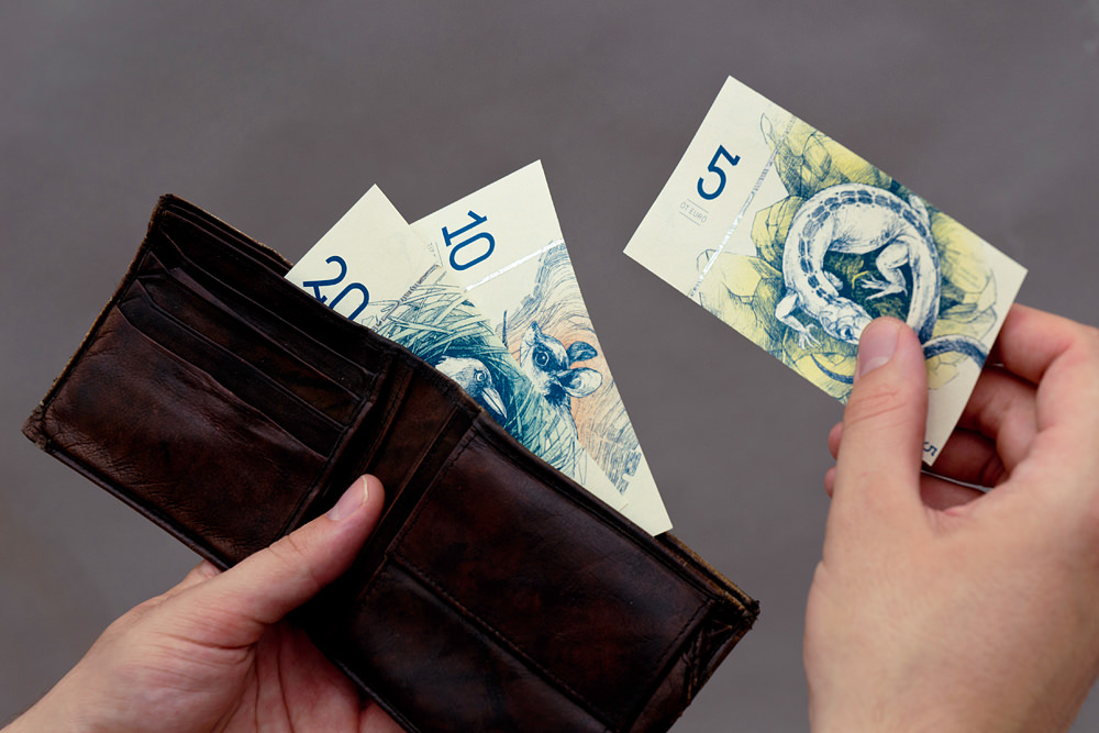 Using Barbara Bernat's Hungarian Euro Concept Art Money in Wallet
