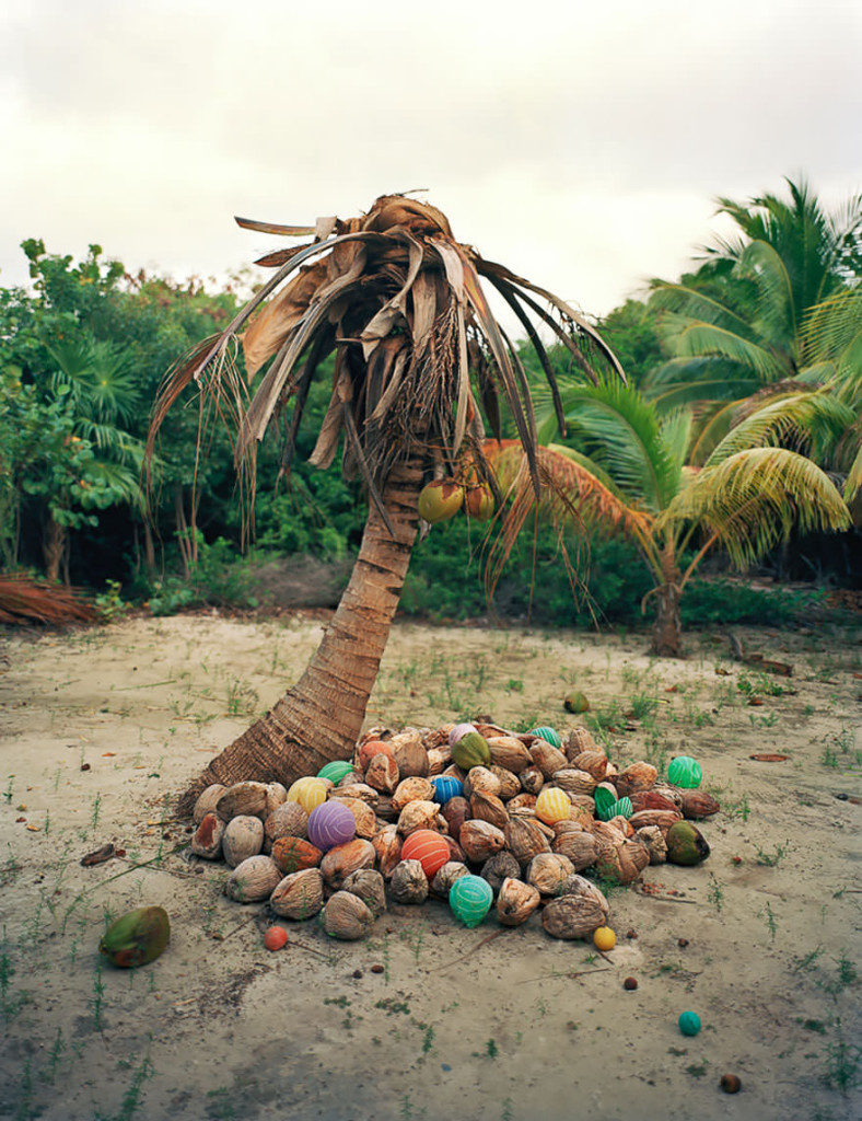 Coconut Tree with Plastic Waste by Alejandro Duran