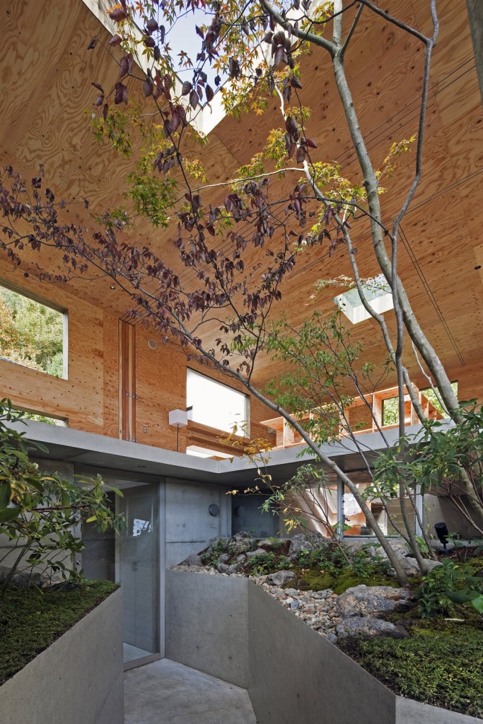Trees Growing Through Floor of Nest House by UID