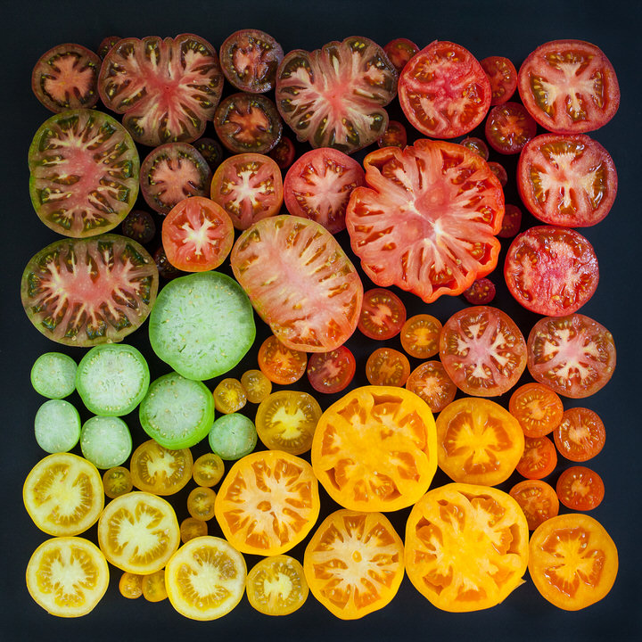 Tomato Season Cross-Section Colours by Emily Blancoe