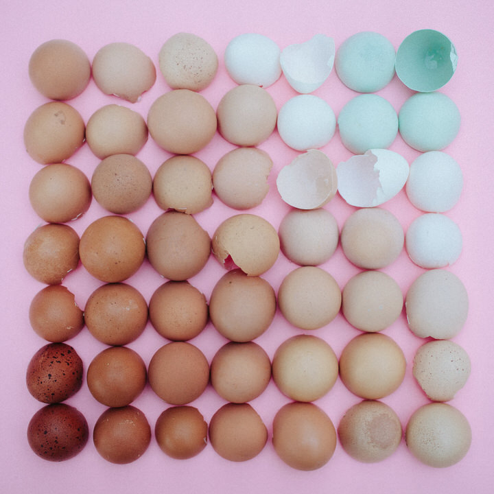 'for the birds' Colour Eggshell Arrangement by Emily Blancoe
