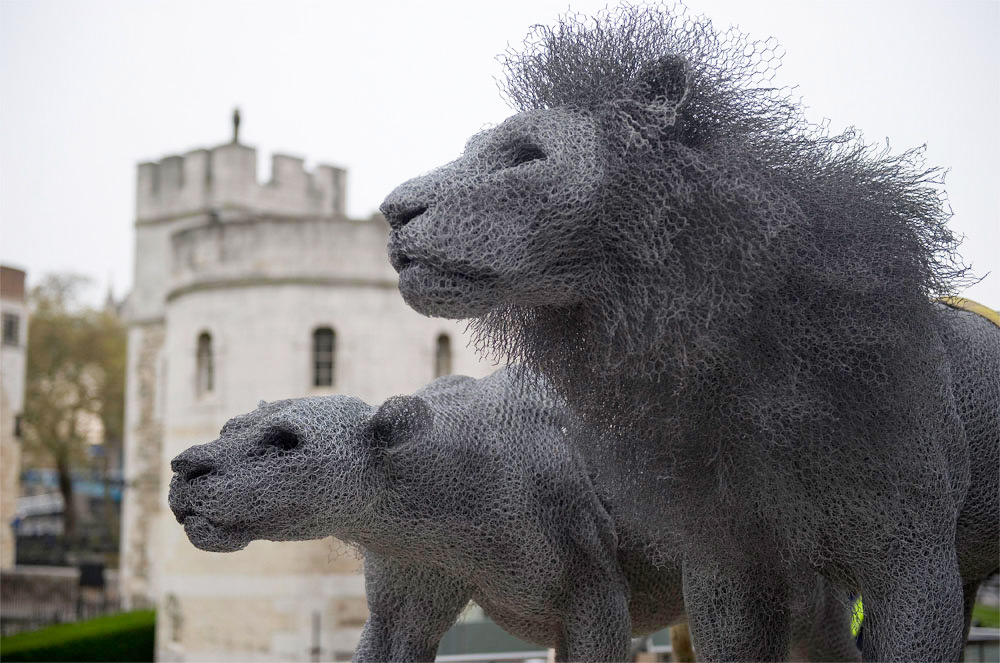 Chicken-Wire Lion Sculptures by Kendra Haste