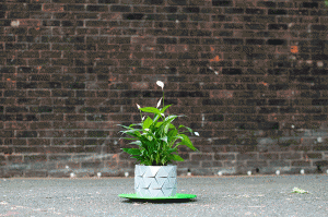 Growth: Resizable Origami Plant Pot by Studio Ayaskan