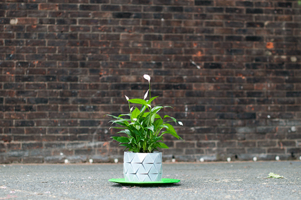 Growth -  Resizable Origami Plant Pot by Studio Ayaskan