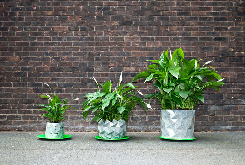 Peace Lily in Growth Expenading Plant Pot by Studio Ayaskan
