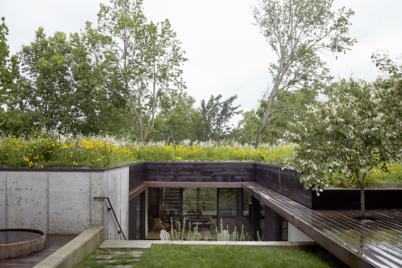 Ground Level of Shelton Residence with Natural Elements