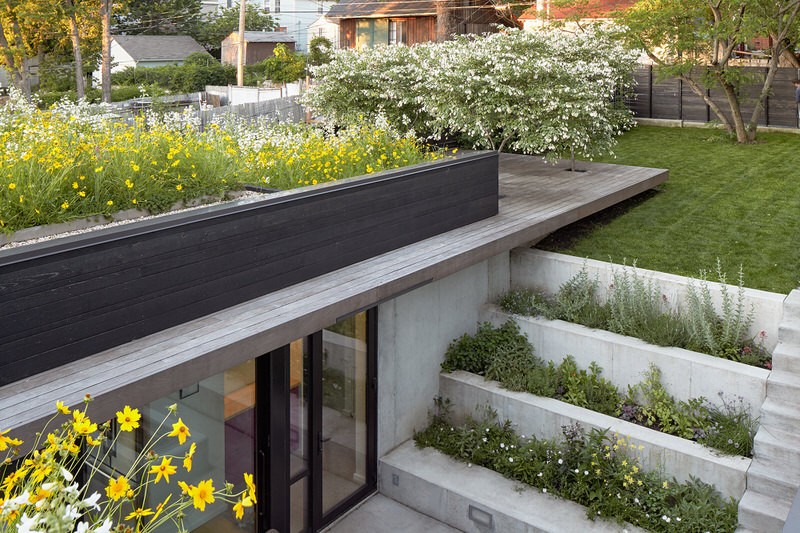 Tiered Planters and Wildflower Green Roof of Shelton Residence