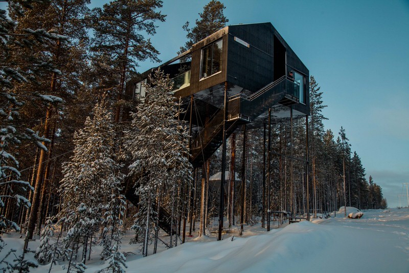 The 7th Room Treehotel Cabin Blending in the Tree Line