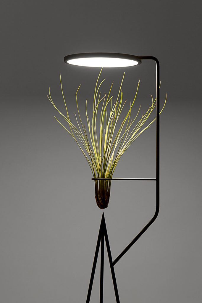 Vertical Tripod Plant Maintainer Lamp