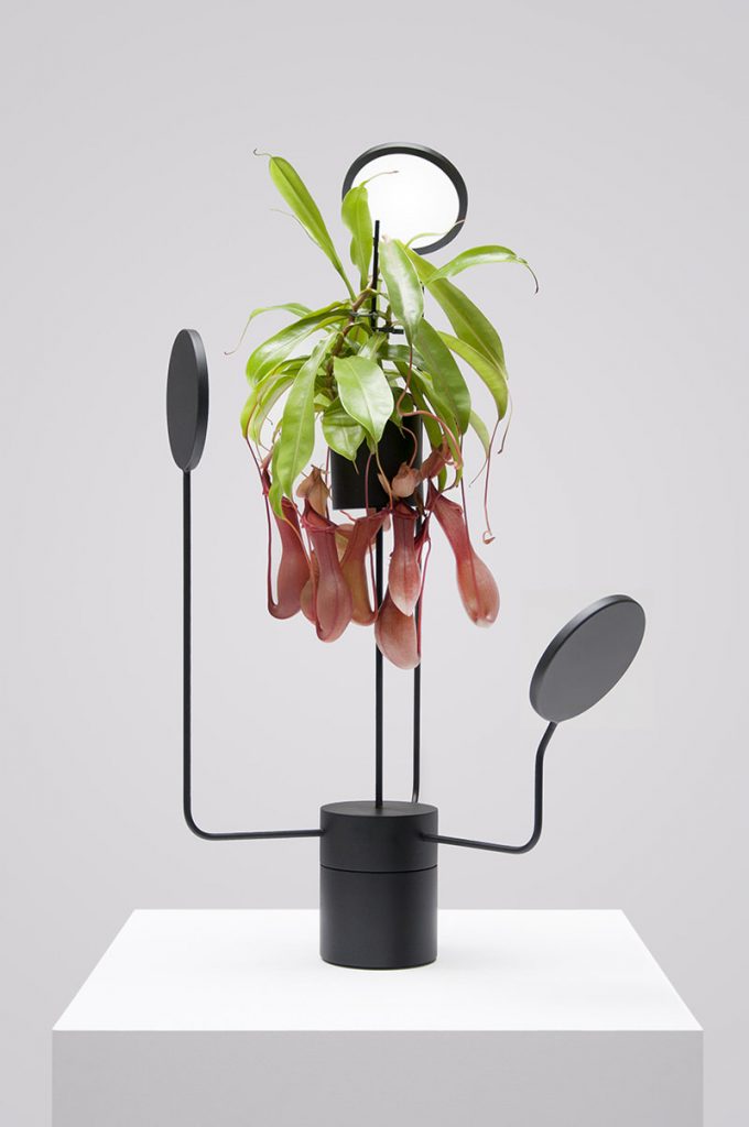Viride Tres Rotating Plant Pot